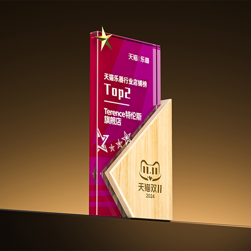 品牌喜訊丨TERENCE特倫斯榮登2024天貓雙榜 —— 天貓雙十一樂器行業(yè)店鋪榜TOP2和天貓618年中狂歡節(jié)樂器品牌TOP10